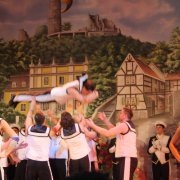 Godesberger Stadtsoldaten (29.01.13)